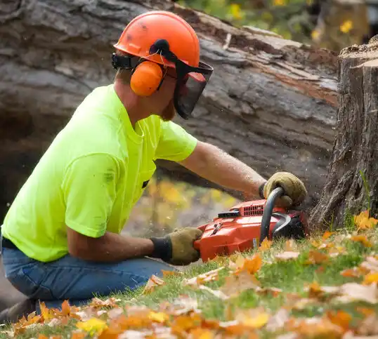 tree services Bryan